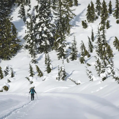 Randonnées raquettes haute savoie