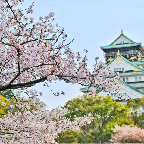 circuit japon