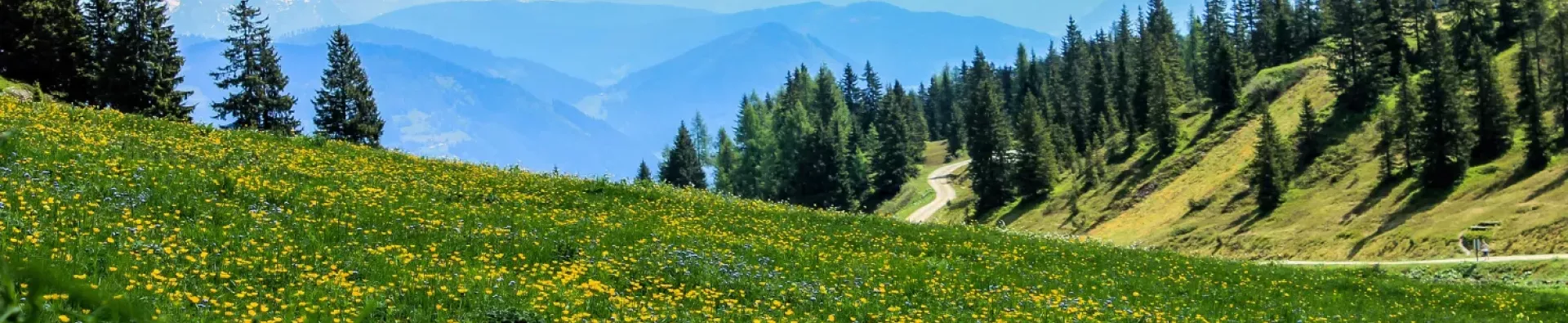 Sommets montagneux d'Auvergne Rhône Alpes en été